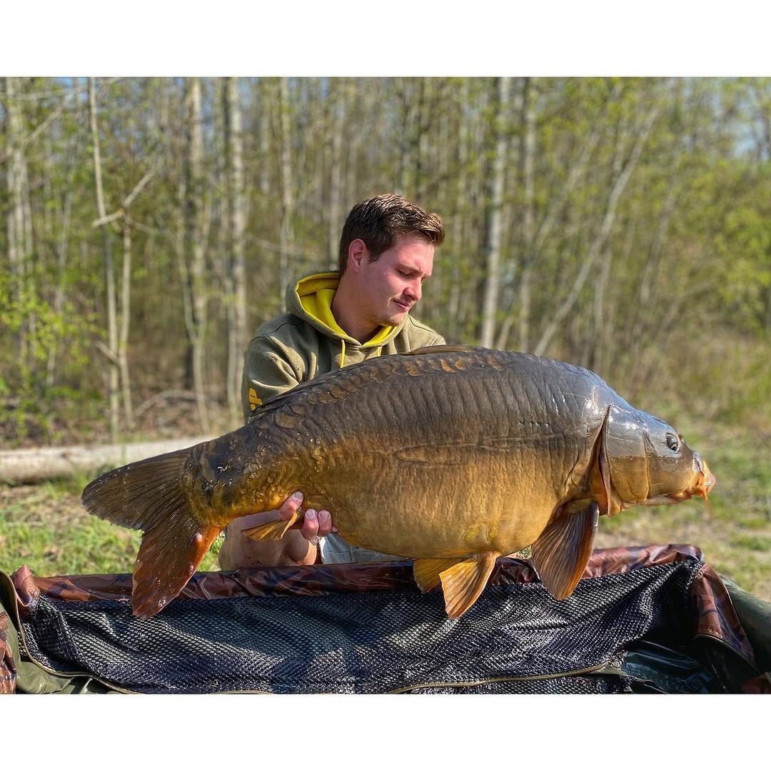 Post 5 by Carp Hero on Instagram (image)