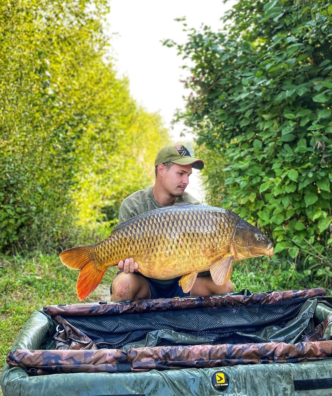 Post 2 by Carp Hero on Instagram (image)