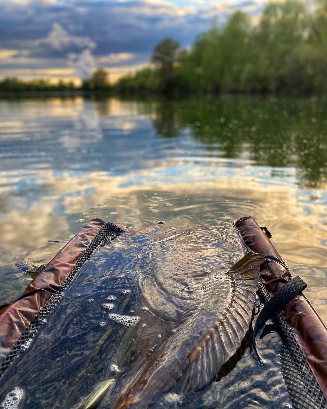 Post 6 by Carp Hero on Instagram (image)