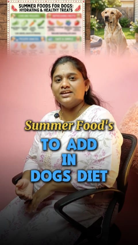 Post 8 by Pinky Pet Shop on Instagram (video)