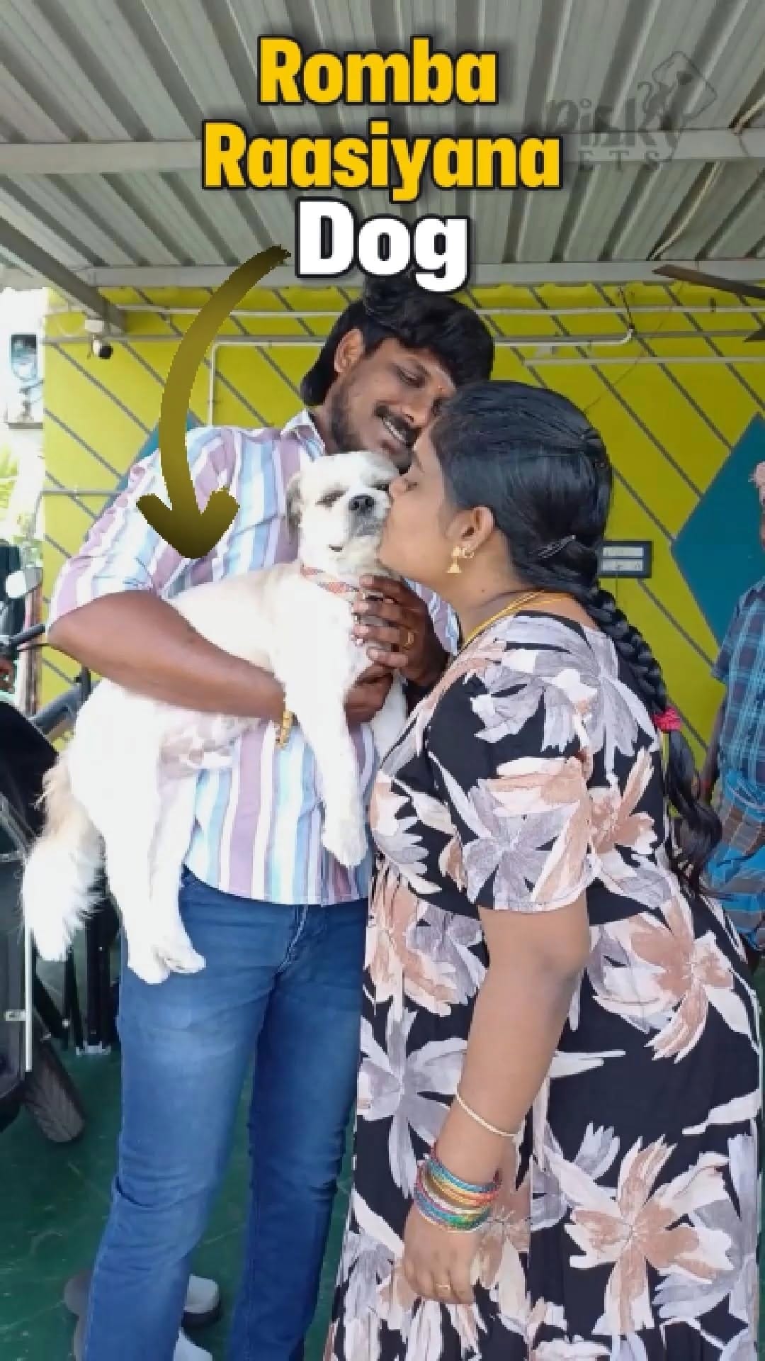 Post 10 by Pinky Pet Shop on Instagram (video)