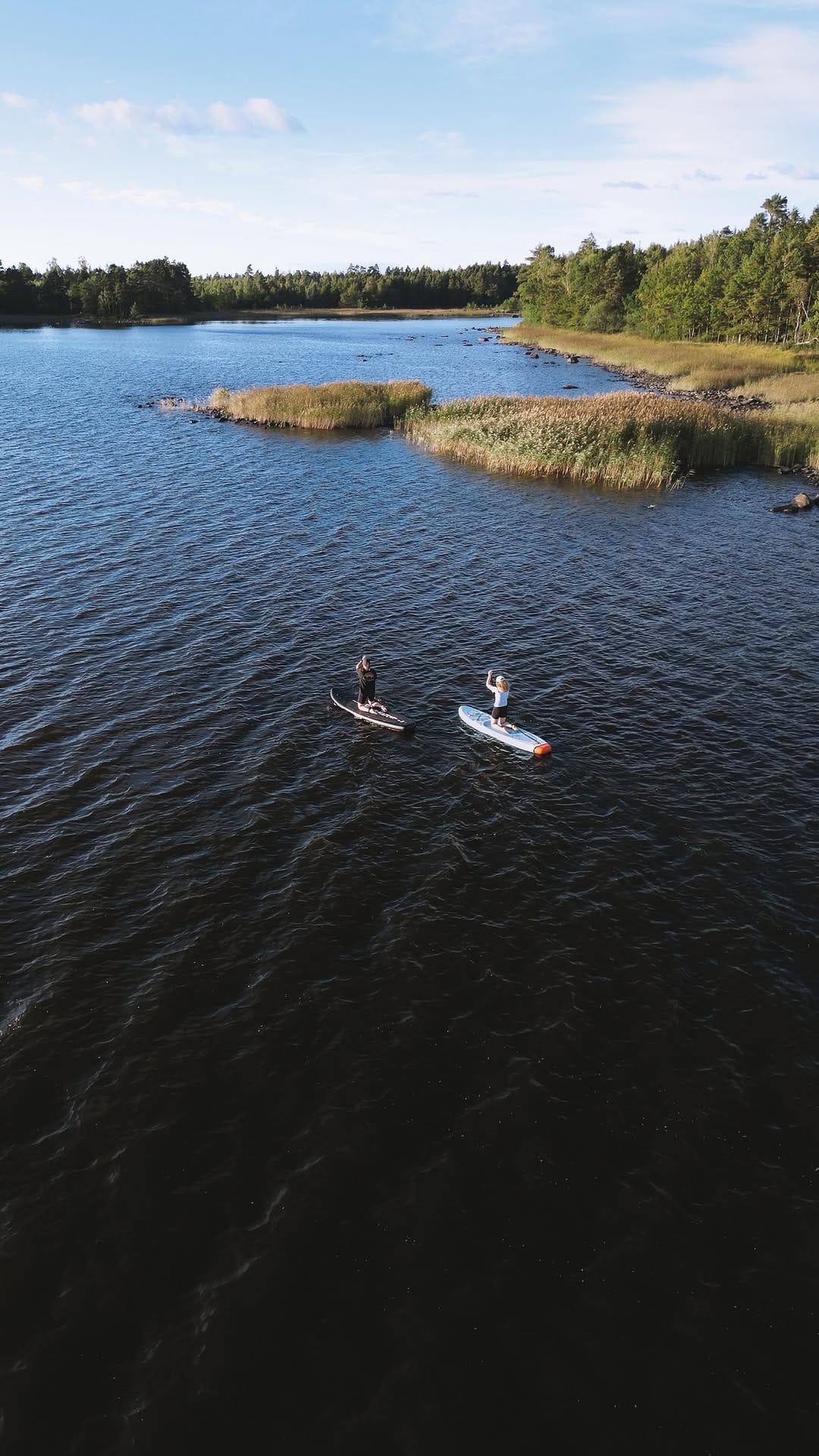 Post 1 by Alex on Instagram (video)