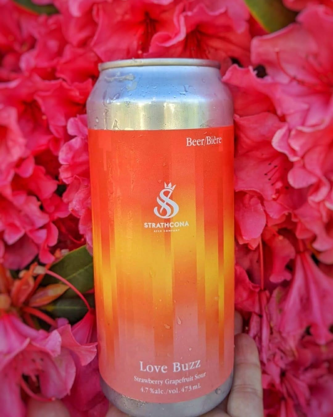 Post 6 by Ale Enthusiast on Instagram (image)