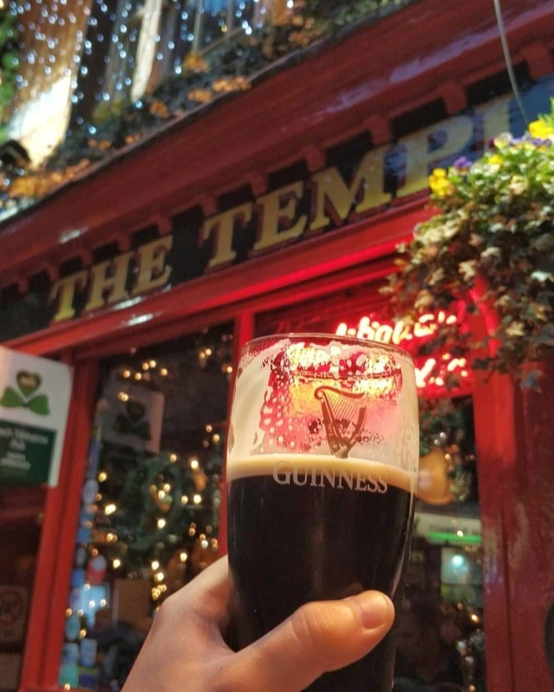 Post 5 by Ale Enthusiast on Instagram (image)