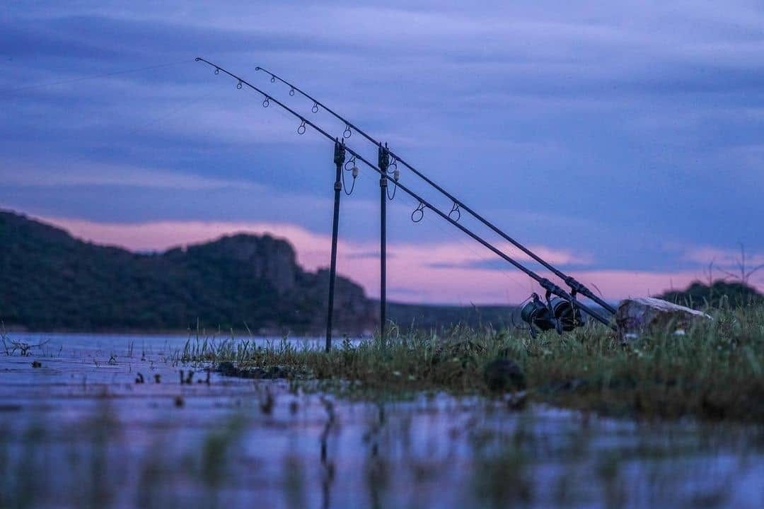 Post 2 by BaitNFish on Instagram (image)
