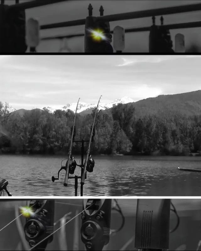 Post 1 by BaitNFish on Instagram (video)
