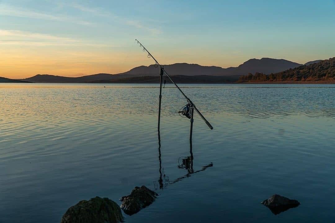 Post 5 by BaitNFish on Instagram (image)