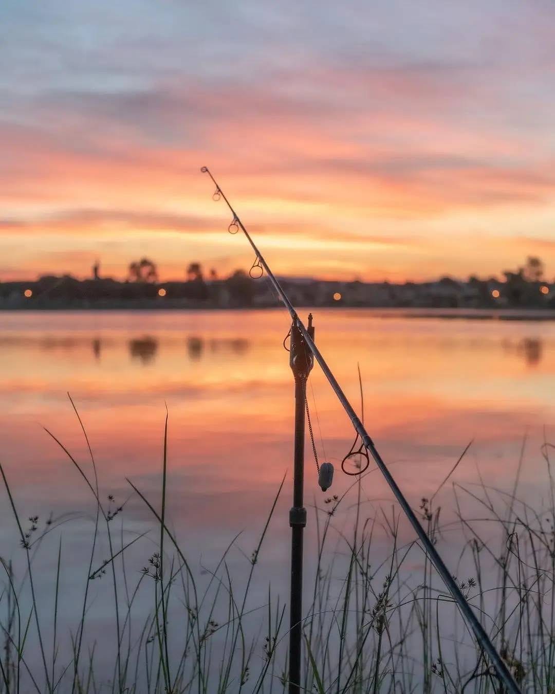 Post 3 by BaitNFish on Instagram (image)