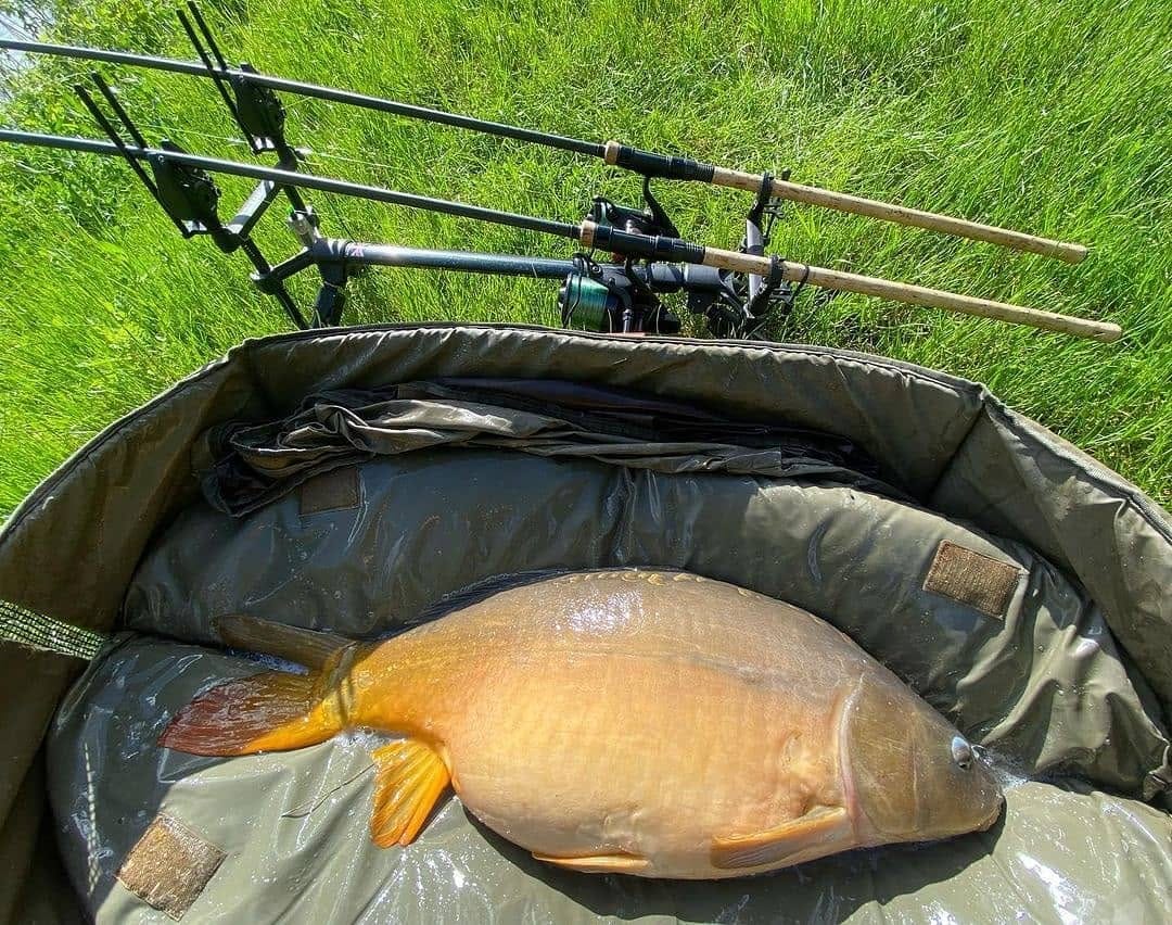 Post 7 by BaitNFish on Instagram (image)