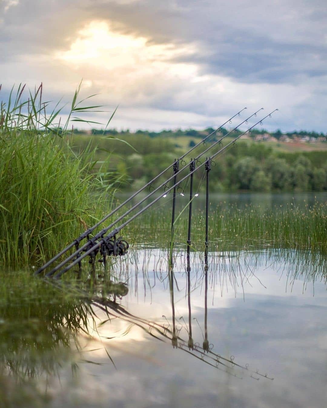 Post 8 by BaitNFish on Instagram (image)