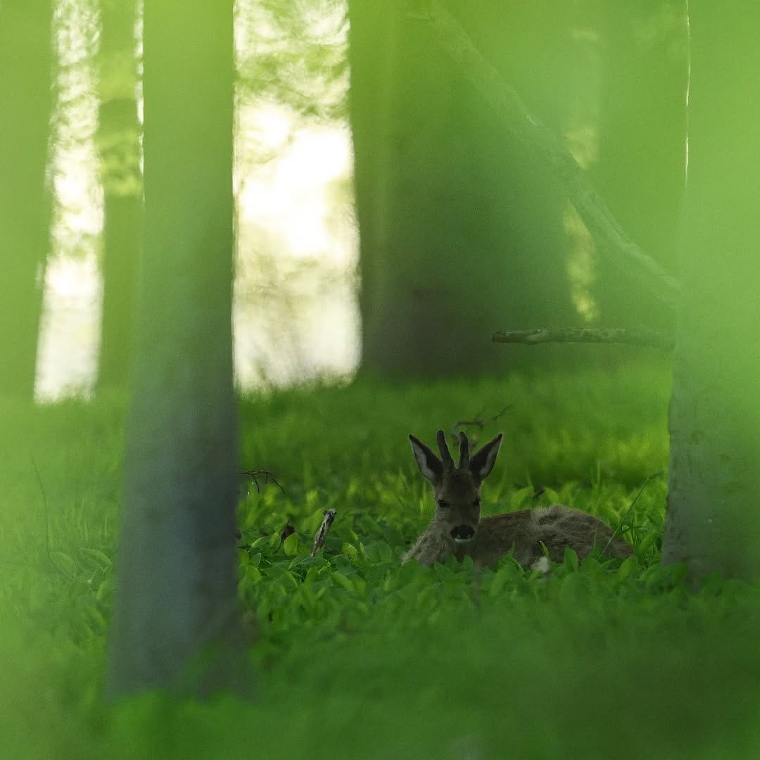 Post 7 by Claas Nowak on Instagram (image)
