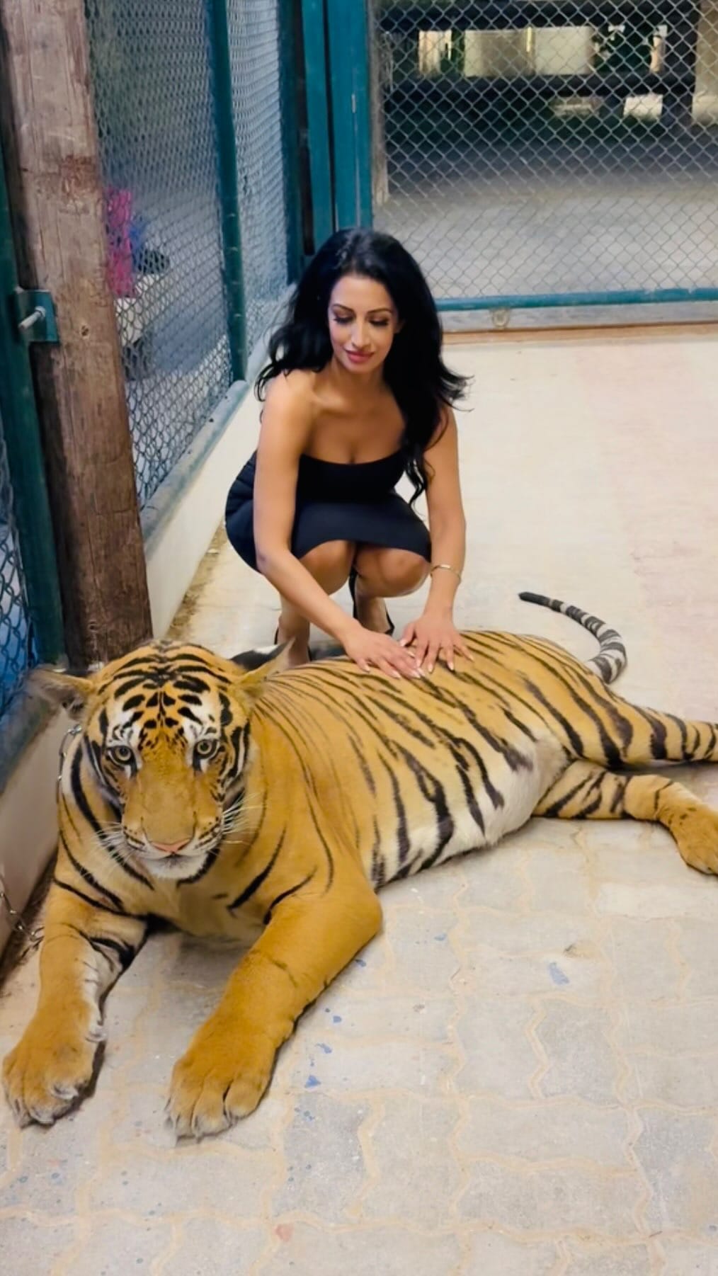 Post 7 by PK Dhillon on Instagram (video)