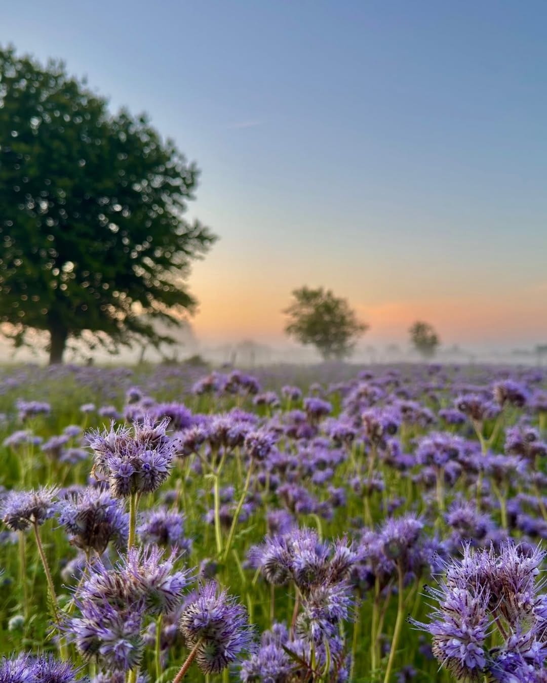 Post 1 by Volker Kämpf on Instagram (image)