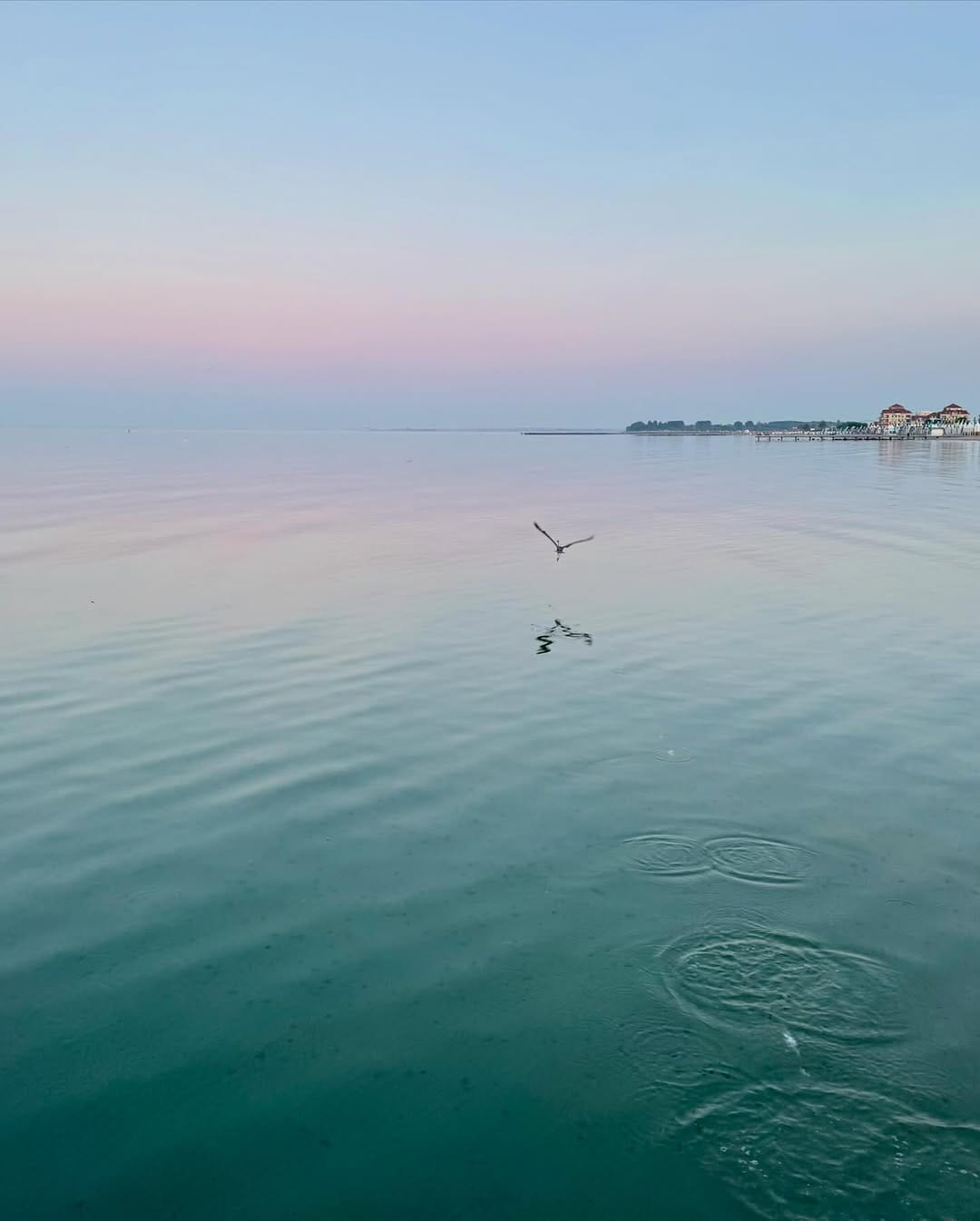 Post 4 by Volker Kämpf on Instagram (image)