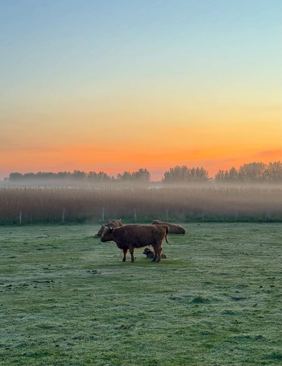 Post 3 by Volker Kämpf on Instagram (image)