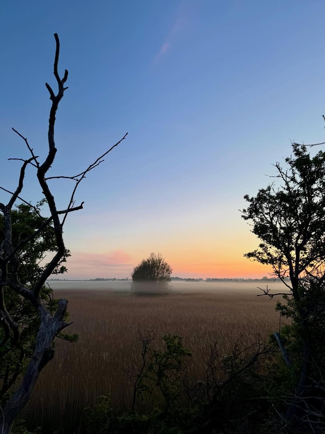 Post 6 by Volker Kämpf on Instagram (image)