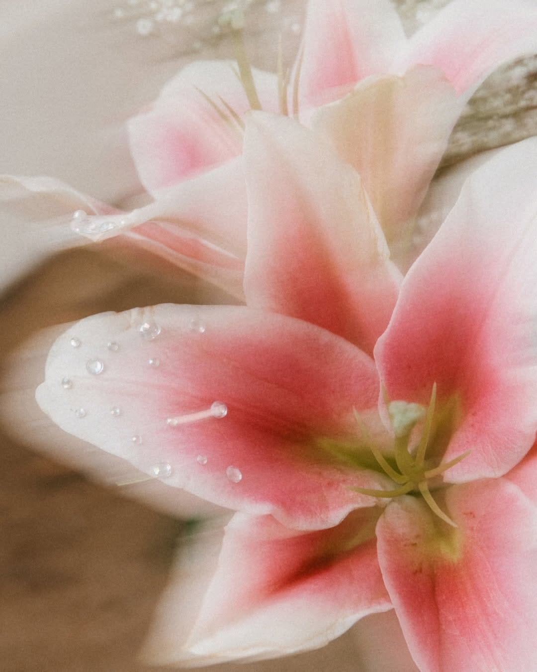 Post 3 by West Coast Wedding Photographer | chels abram on Instagram (carousel)