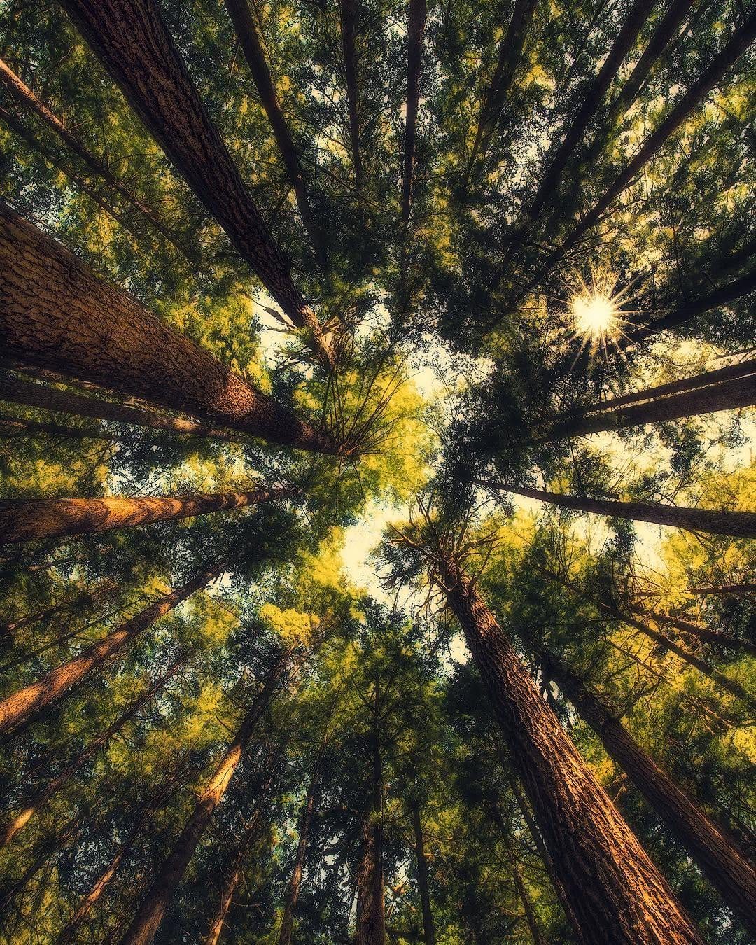 Post 2 by Malte Salge on Instagram (image)