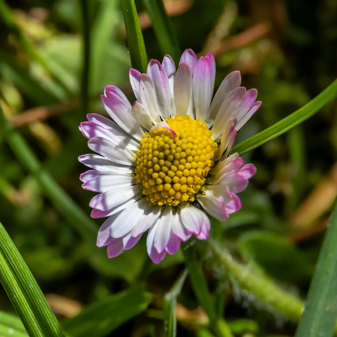 Post 4 by Jens Burk on Instagram (image)