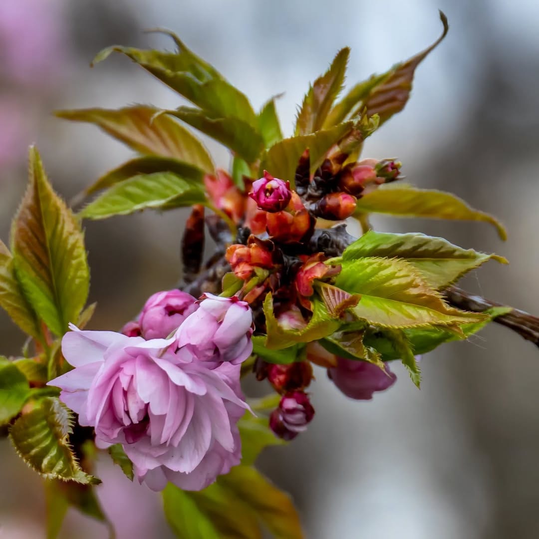 Post 10 by Jens Burk on Instagram (image)