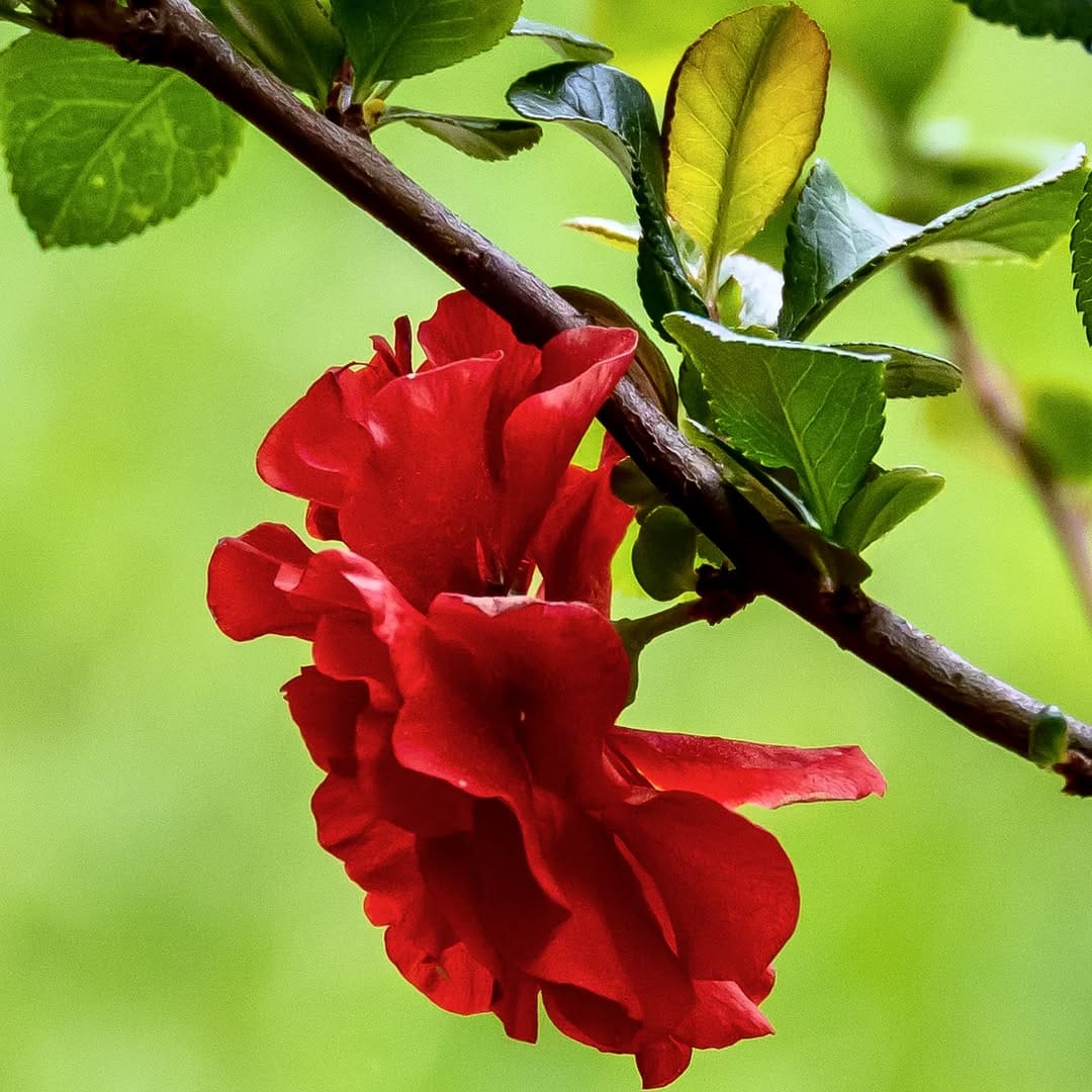Post 8 by Jens Burk on Instagram (image)