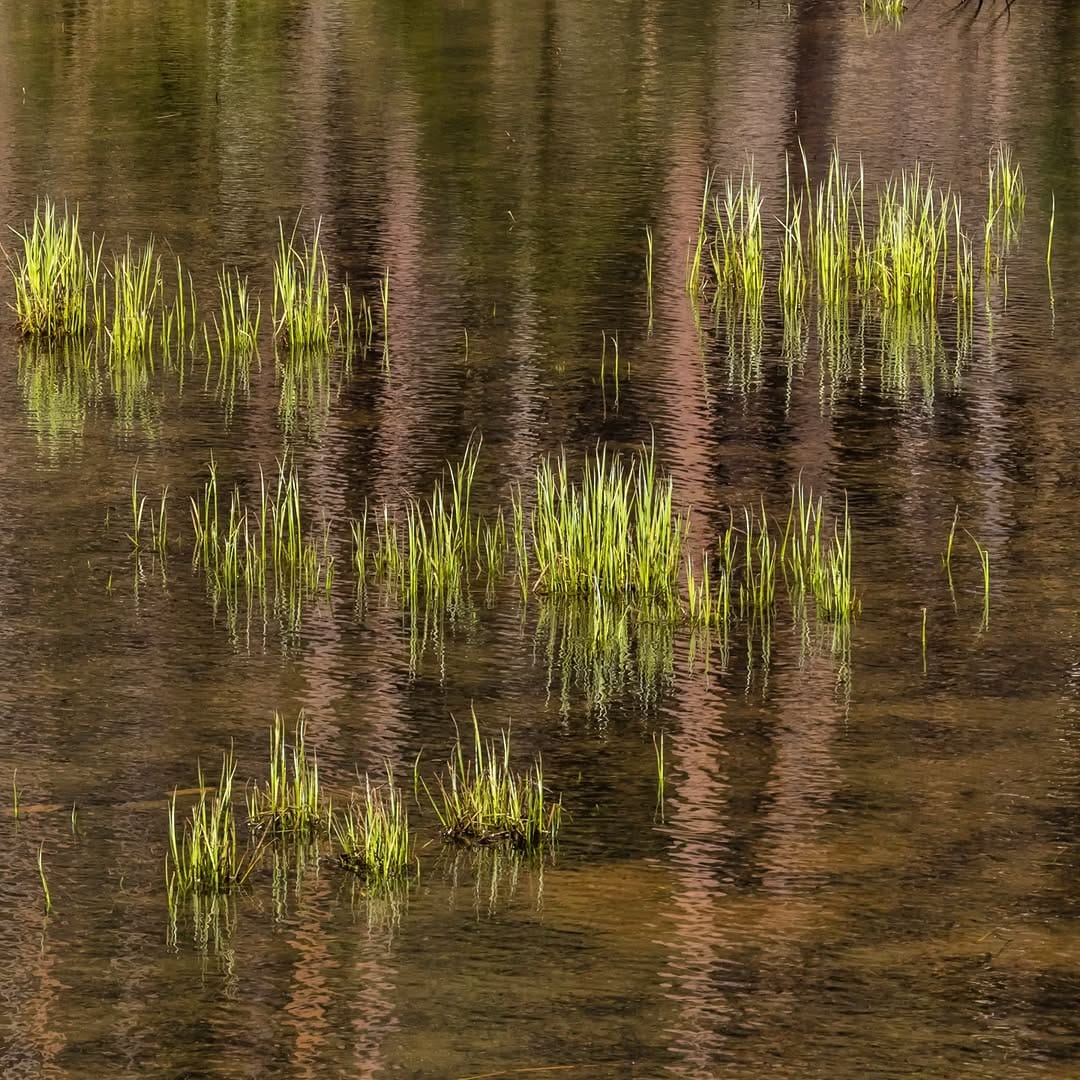 Post 9 by Jens Burk on Instagram (image)