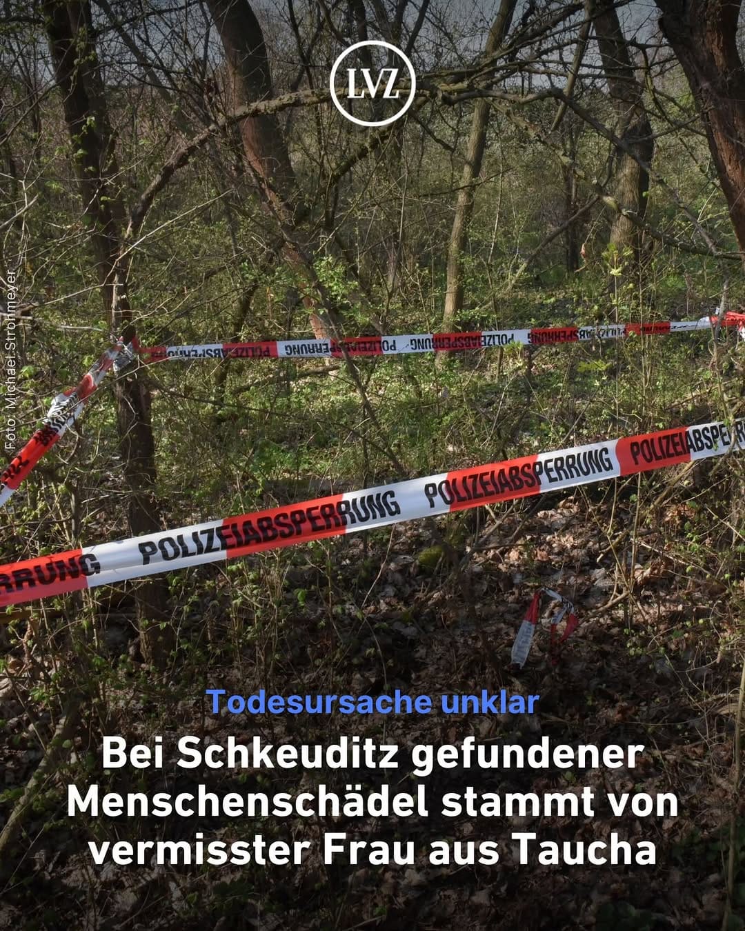 Post 8 by Leipziger Volkszeitung on Instagram (image)