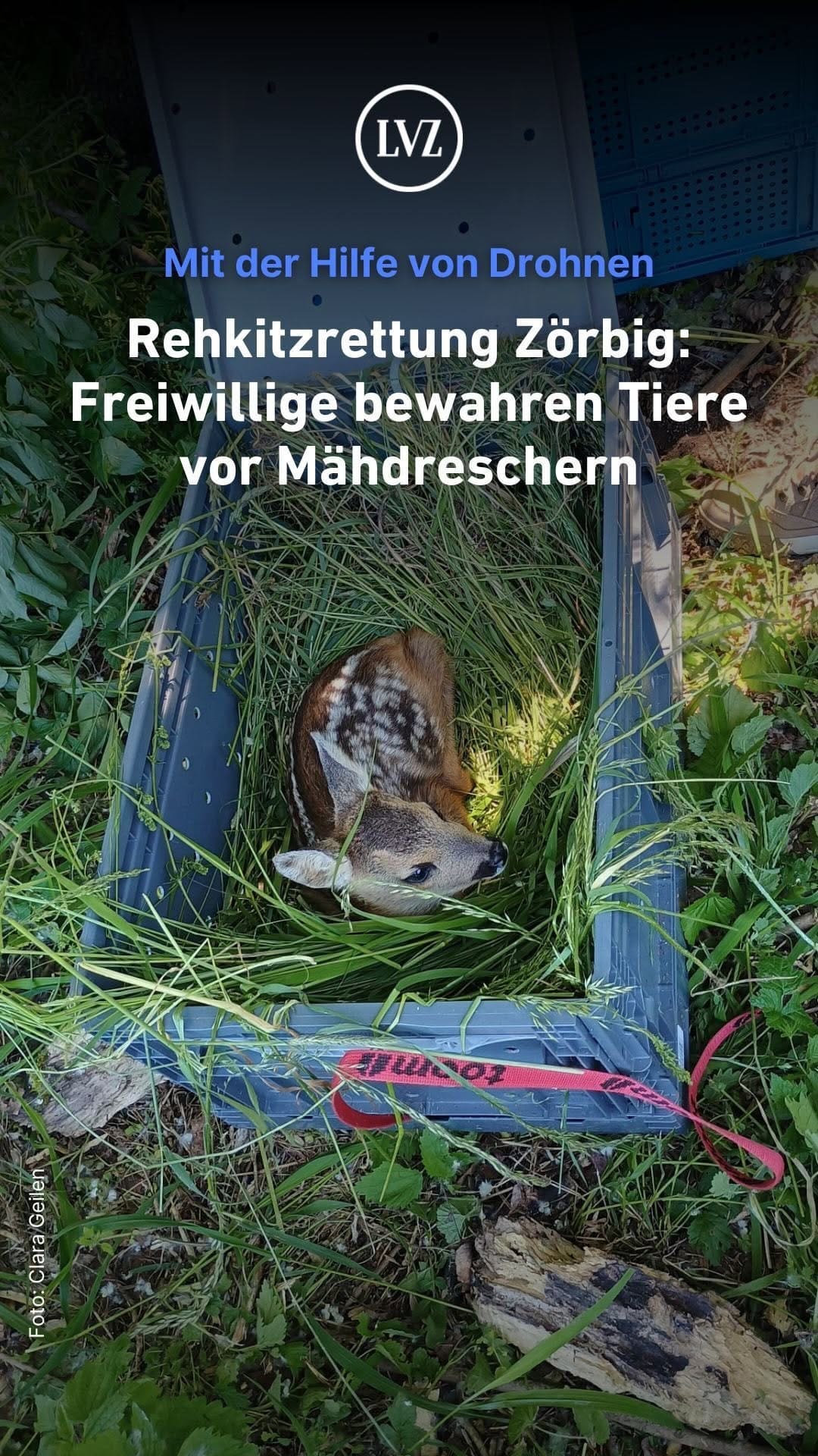 Post 3 by Leipziger Volkszeitung on Instagram (video)