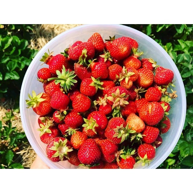 Post 5 by Jessica & Stefan on Instagram (image)