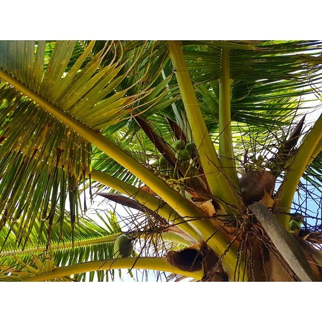 Post 8 by Jessica & Stefan on Instagram (image)