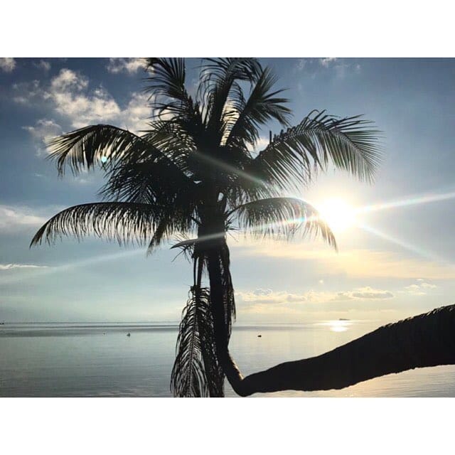 Post 1 by Jessica & Stefan on Instagram (image)