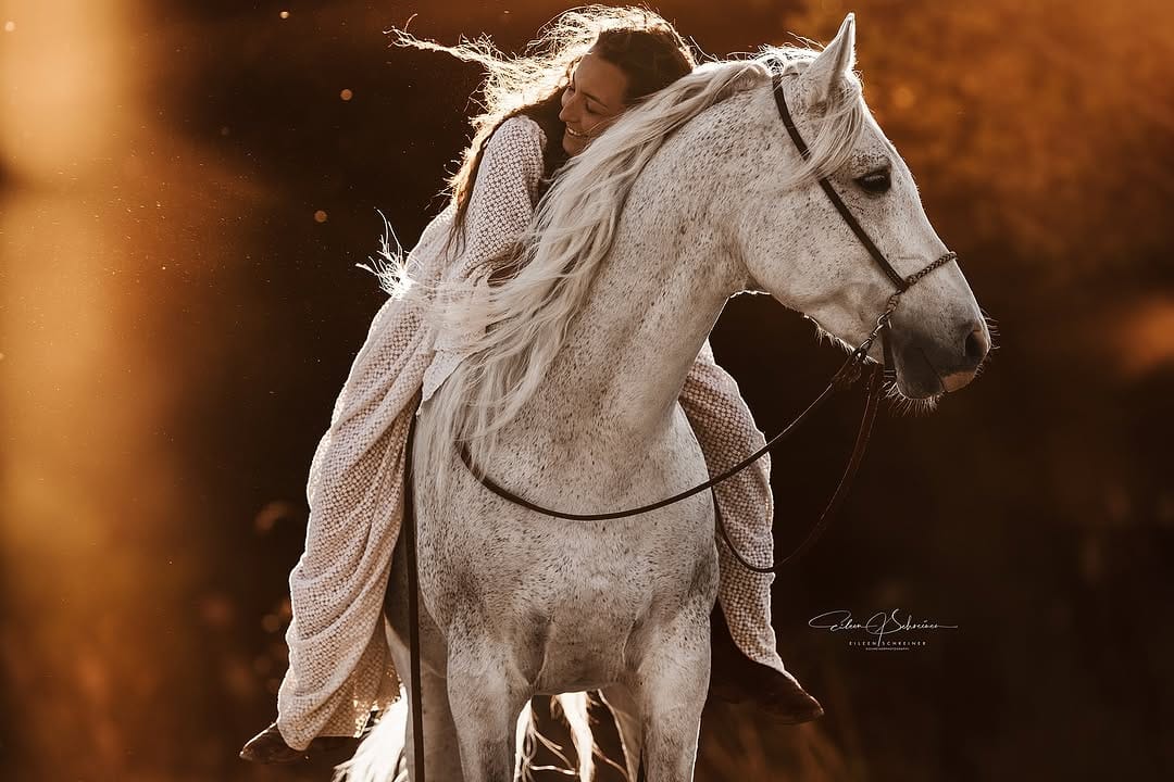 Post 5 by EILEEN SCHREINER on Instagram (image)
