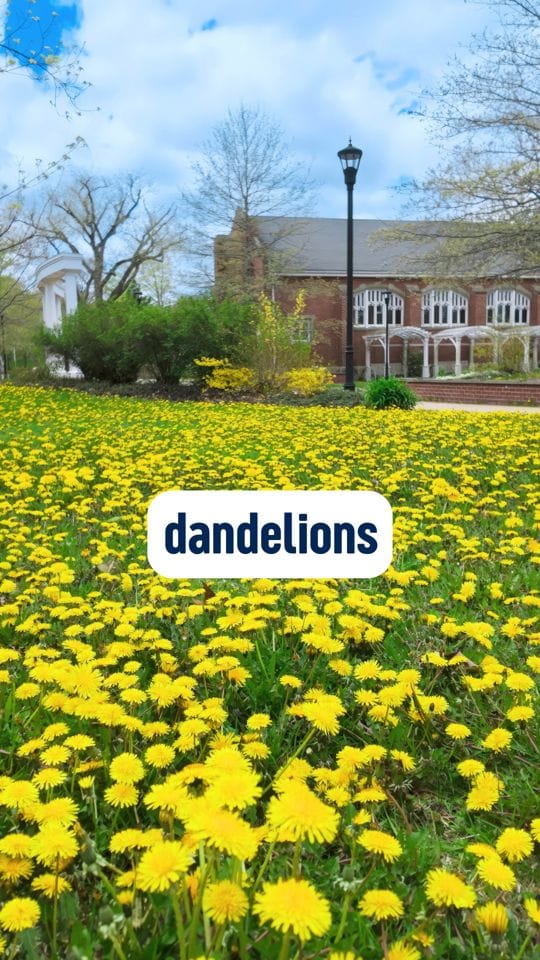 Post 5 by StFX University on Instagram (video)