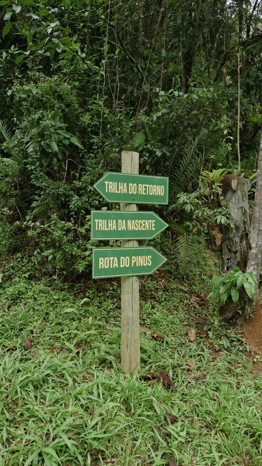 Post 1 by Chalés | Camping | Eventos ᨏ Jaraguá do Sul, SC on Instagram (video)