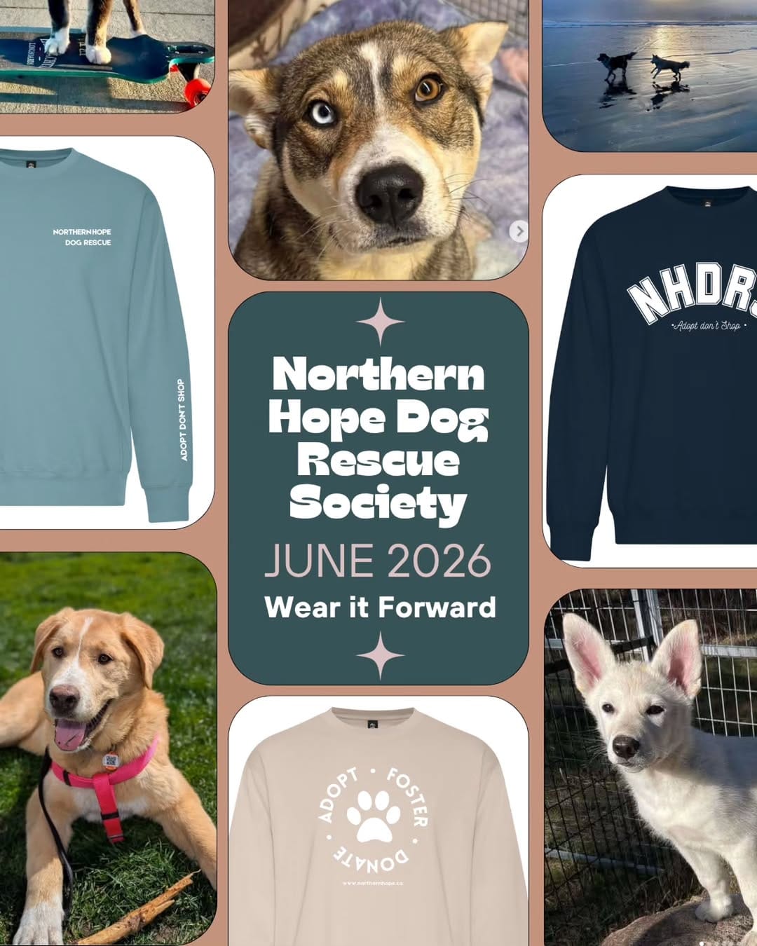 Post 1 by Northern Hope Dog Rescue on Instagram (carousel)