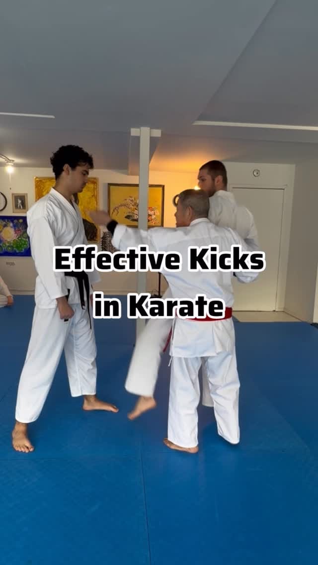 Post 3 by Kancho T. Okuyama 🥋 Karate on Instagram (video)