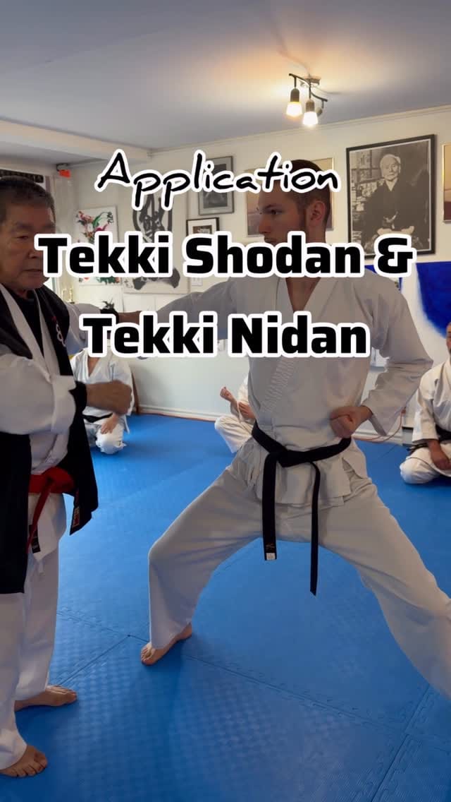 Post 2 by Kancho T. Okuyama 🥋 Karate on Instagram (video)