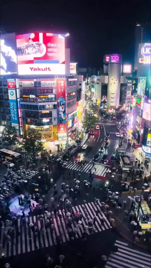 Post 2 by ⌘ Flying Fox ⌘ on Instagram (video)
