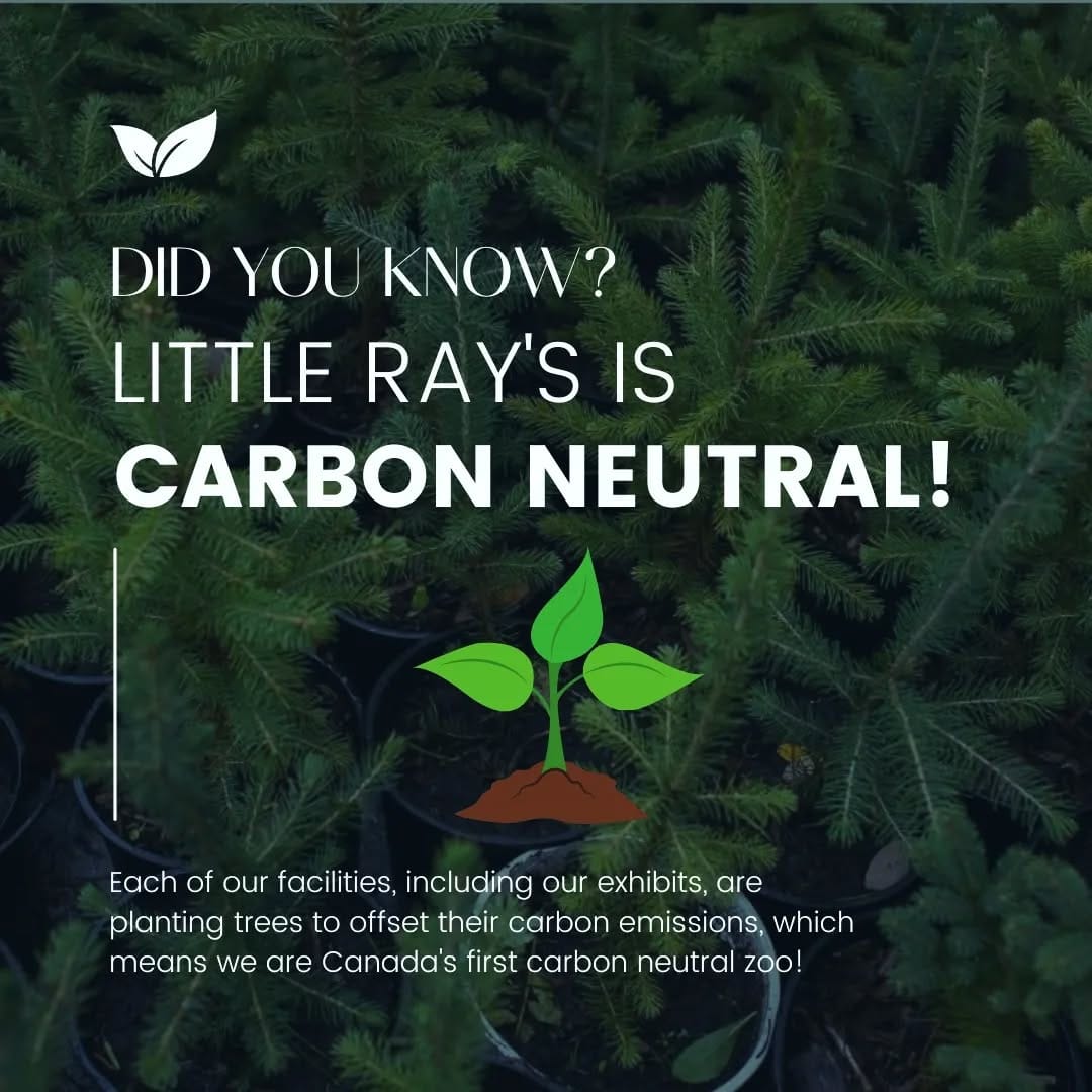 Post 8 by Little Ray's Nature Centre on Instagram (image)