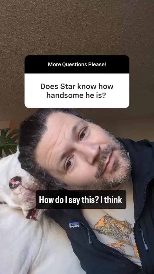 Post 6 by Running Dogs on Instagram (video)