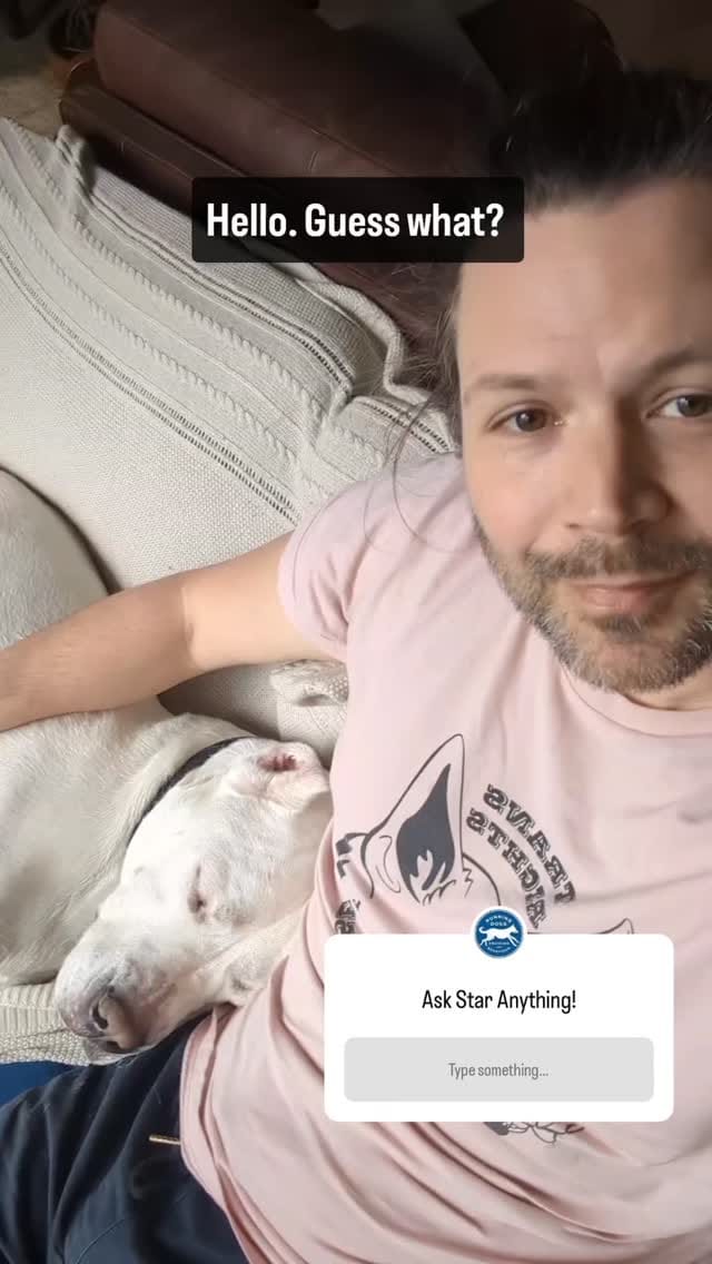 Post 9 by Running Dogs on Instagram (video)