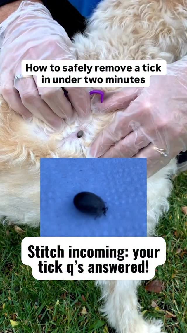Post 4 by Action First Aid on Instagram (video)