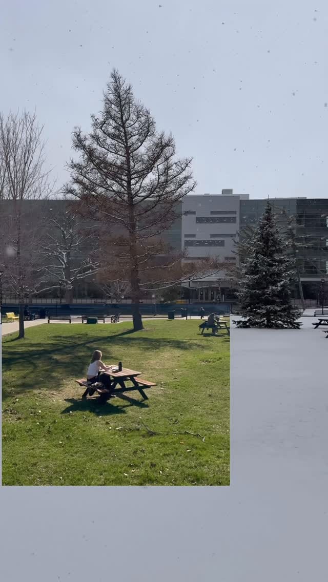 Post 7 by Carleton University on Instagram (video)