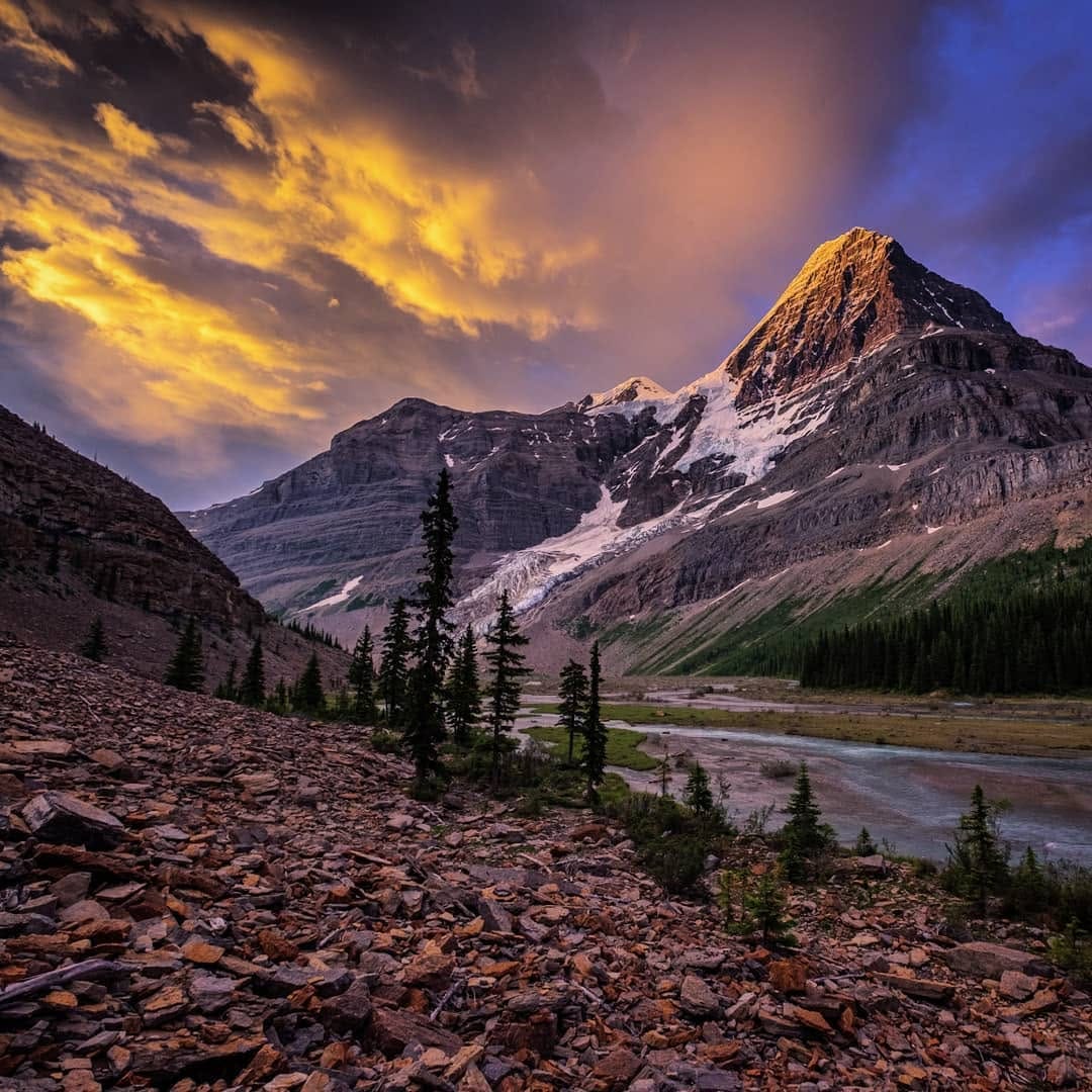 Post 10 by Dan Duerden on Instagram (image)
