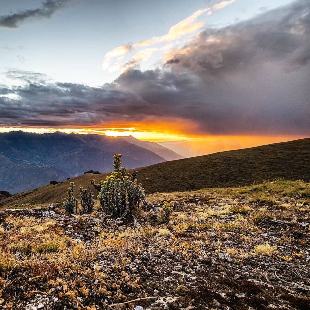 Post 9 by Dan Duerden on Instagram (image)