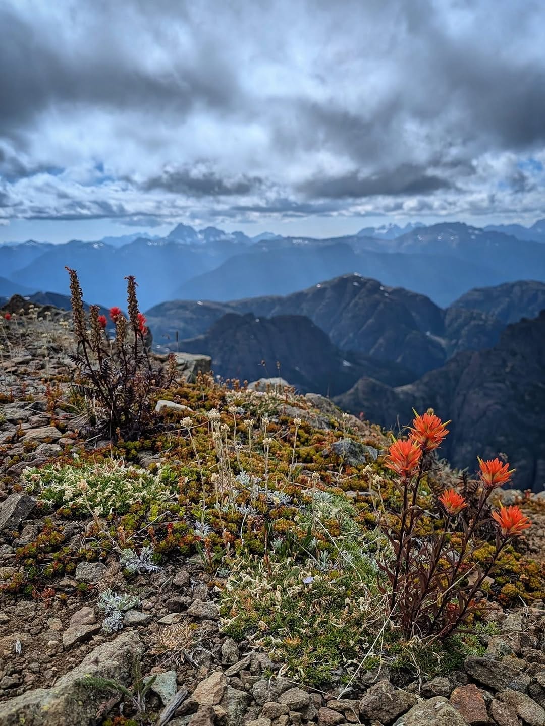 Post 2 by Dan Duerden on Instagram (image)