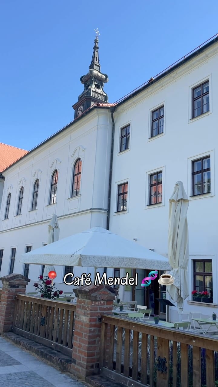 Post 10 by Only BRNO | Where, When, What in BRNO on Instagram (video)