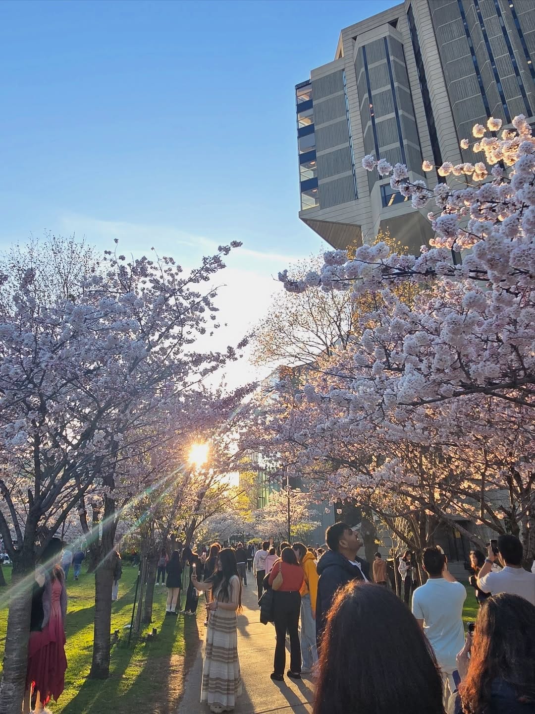 Post 9 by University of Toronto Engineering on Instagram (carousel)