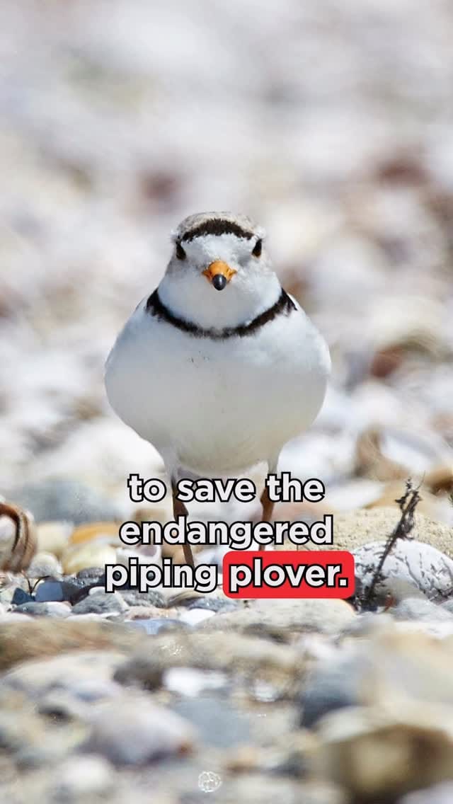 Post 10 by Environmental Defence on Instagram (video)