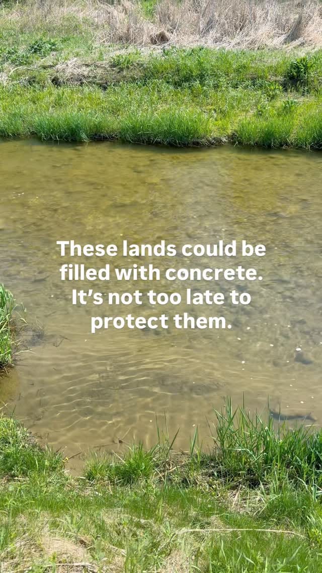 Post 8 by Environmental Defence on Instagram (video)